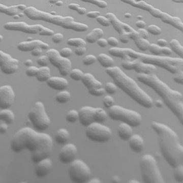 Concrete Wall – 3D by Adriani e Rossi edizioni - view 2