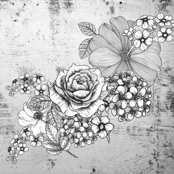 Rose_1 by Adriani e Rossi edizioni