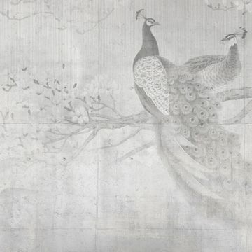 Peacocks by Adriani e Rossi edizioni