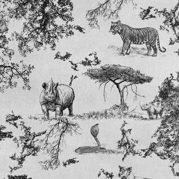 Safari by Adriani e Rossi edizioni