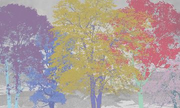 Color Trees by Adriani e Rossi edizioni - view 3