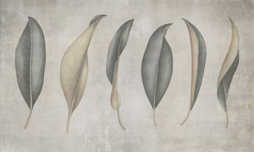 Leafy by Adriani e Rossi edizioni - view 3