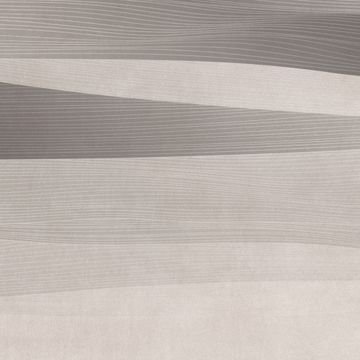 Sahara Grey by Adriani e Rossi edizioni