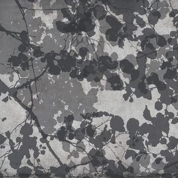 Theater Big Leaves by Adriani e Rossi edizioni