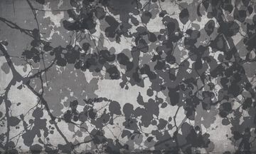 Theater Big Leaves by Adriani e Rossi edizioni - view 2