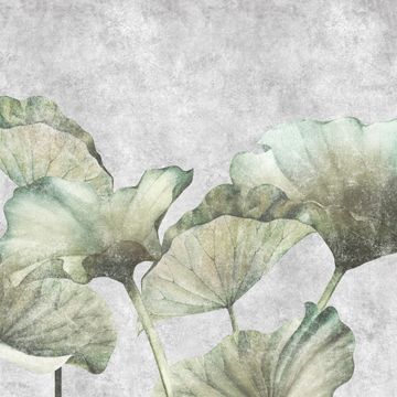 Lotus Leaves by Adriani e Rossi edizioni