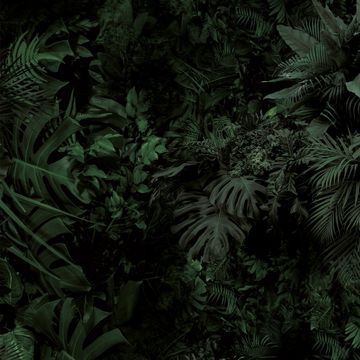 Dark Green by Adriani e Rossi edizioni