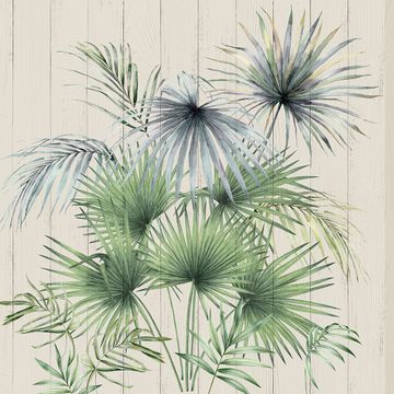 Palm Beach by Adriani e Rossi edizioni