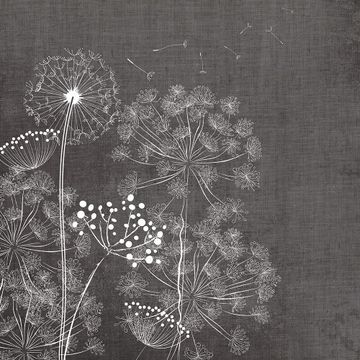 Wind Flowers Dark by Adriani e Rossi edizioni