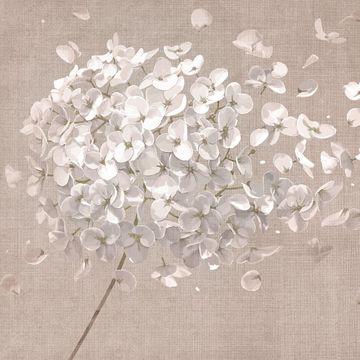 Breath Flower Sand by Adriani e Rossi edizioni
