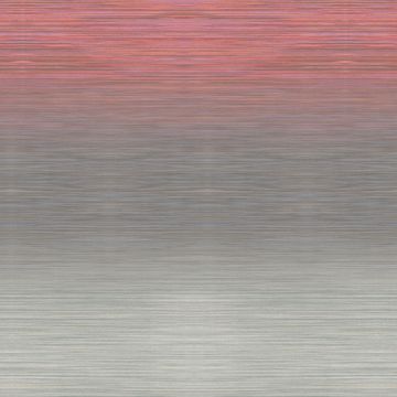 Nuance Grey by Adriani e Rossi edizioni