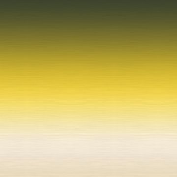 Nuance Yellow by Adriani e Rossi edizioni