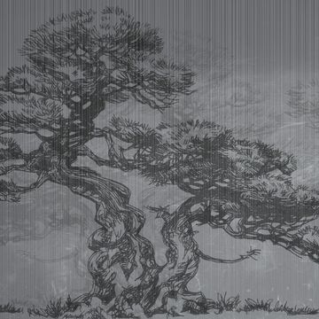 Bonsai by Adriani e Rossi edizioni