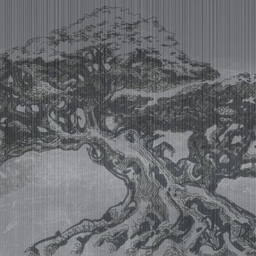 Big Bonsai by Adriani e Rossi edizioni