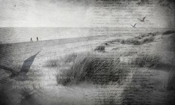 Beach_2 – L.138 H.270 cm by Adriani e Rossi edizioni