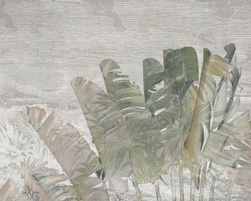 Havana_2 – Fibra di vetro – L.353 H.293 cm by Adriani e Rossi edizioni