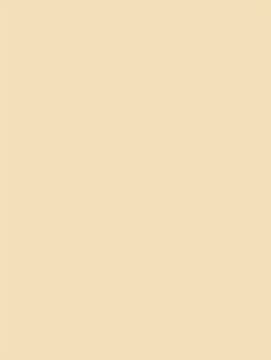 Oat Milk M10 by Cover Styl - view 2