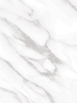 Statuary White NE31 by Cover Styl - view 2