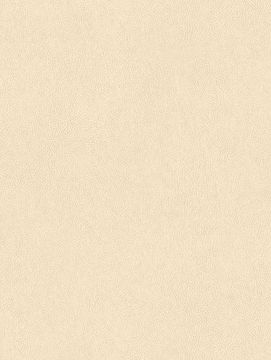 Cream NE43 by Cover Styl - view 2