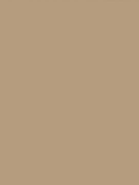 Caffe Latte NE55 by Cover Styl - view 2