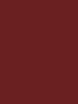 Bordeaux Red NF04 by Cover Styl - view 2