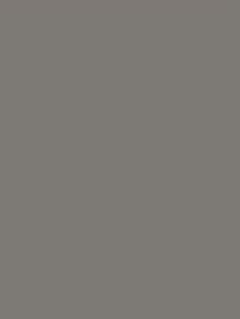 Lead Grey RM03 by Cover Styl - view 2