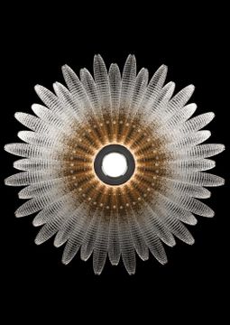 Agave by Barovier&Toso - view 6