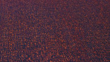 Move x Groove Wall-to-wall Carpet by Object Carpet - view 3
