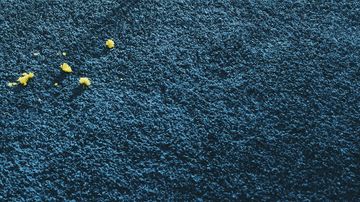 Poodle 1400 Rug by Object Carpet - view 3