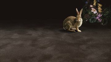 Pure Wool 2600 Wall-to-wall Carpet by Object Carpet - view 6