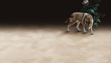 Pure Wool 2600 Rug by Object Carpet - view 3