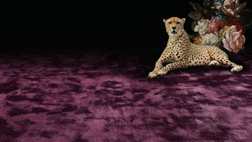 Pure Silk 2500 Wall-to-wall Carpet by Object Carpet - view 6
