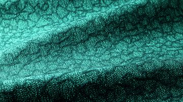 Velaa 700 Wall-to-wall Carpet by Object Carpet - view 2