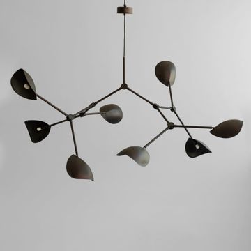 Stingray Chandelier, Grande - Burned Black (5m) by 101 copenhagen
