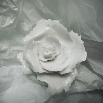 Rose 11 – Large by 1882 Ltd