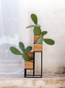 CIRO - High teak planter by CBdesign - view 3