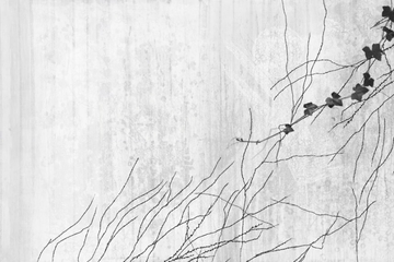 A ORIENTE - Motif wallpaper by GLAMORA - view 3
