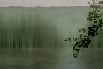 AMAZZONIA - Landscape wallpaper by GLAMORA - view 3