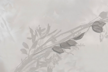 TENERA È L’ALBA - Panoramic wallpaper by GLAMORA - view 3