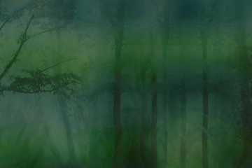 MISTERY - GlamFusion™ wallpaper by GLAMORA - view 3