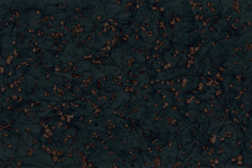 PIAF - Wallpaper with floral pattern by GLAMORA - view 3
