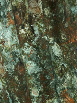 JEAN PAUL GAULTIER - OXYDATION - Cotton upholstery fabric by LELIEVRE - view 3