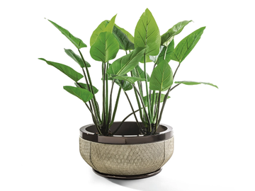 GODWIN CACHEPOT - Round plant pot by Longhi - view 2