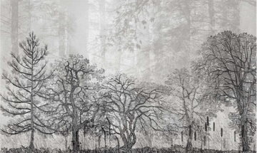 LITOGRAFIA - Panoramic landscape wallpaper by MILLE997 - view 3