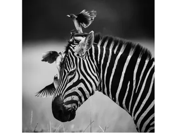 LB-009 - Author made artistic print by MOMENTI - view 2