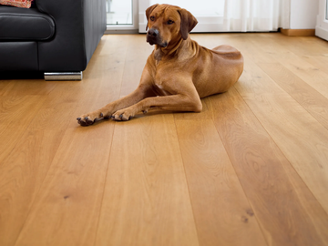 OAK CHARACTER - NATURAL OIL - Oak flooring by Mafi - view 3