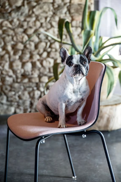 TROY - Upholstered fabric chair by Magis - view 3