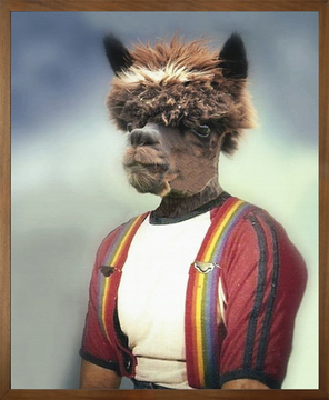 ANTHONY ALPACA - Canvas print by Mineheart - view 2