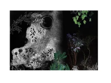 AT NIGHT - Tapestry by Moroso - view 2
