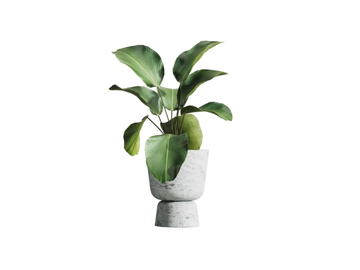 EDEN B - Low round resin garden vase by Myface - view 3
